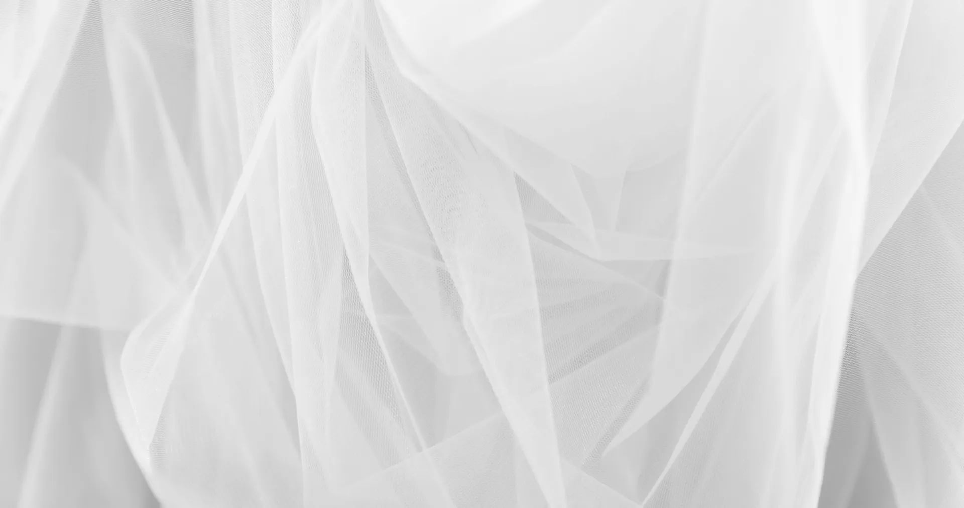 choose us background image