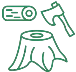 Environmental Clearance